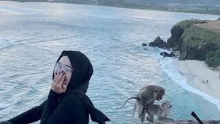 Once upon a time there were two bad and silly monkeys