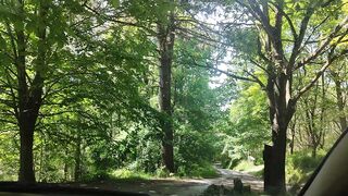 Naturaleza ///suscríbete ????????