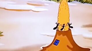 Carton network kids