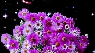 صباح الورد 2