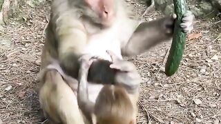 Thought the kid gets a bonk with the cucumber