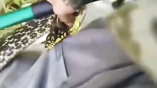Snake bite a man on his private part
