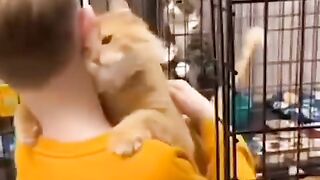 Achei meu humano favorito ????