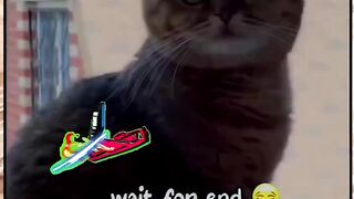 #Funny #billa