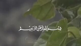 Beautiful Quran Recitation 4