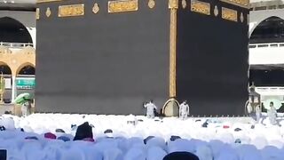 Wazefa 3