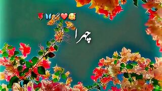status,status video,status song,status whatsap,beast song,good song,video,songs 85