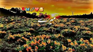 status,status video,status song,status whatsap,beast song,good song,video,songs 87