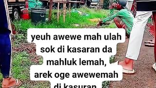 ayam broiler || kata kata lucu 126