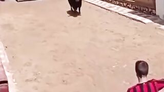 New Funny Video 2024, try not to laugh #funny #ytshorts #trend 2