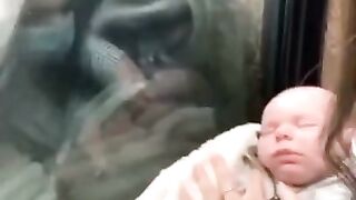 New Funny Video 2022, try not to laugh #funny #ytshorts #trend 4