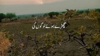 Bichre huy logo ki har baat rula daite hai