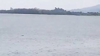 Teluk Likas Viral Video