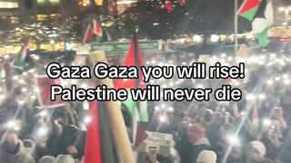 STRARBUCK NEWYORK DIGERUDUK MASSA! #freepalestine #gaza #shorts