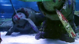 Sharks swimming at the seabed