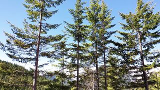 The magic of nature 2