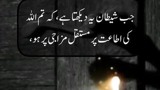 Follows Allah's guidance|| Obey Allah # teachings # quote || Kashaf butt