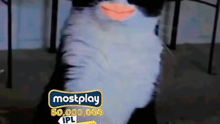 #funny#video#viral#foryou#page 2