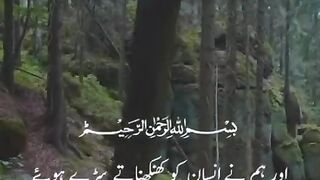 القرآن 29