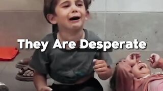 Our team is live on the ground in Palestine