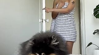 When_your_dog_chooses_to_lay_on_your_clothes_????_#pomeranian_#dog