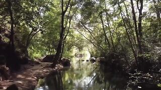 Nature 219