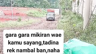 ayam broiler || kata kata lucu 133