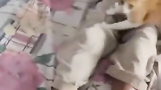 Cat ny Malik sy wafa kasa kya