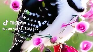 "Nature's Masterpieces: Stunning Birds from Around the Globe"