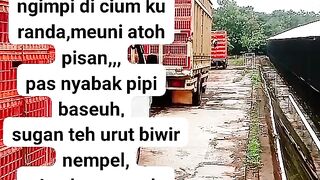 ayam broiler || kata kata lucu 134