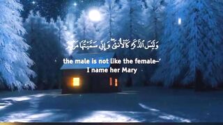 Beautiful Quran Recitation #quran