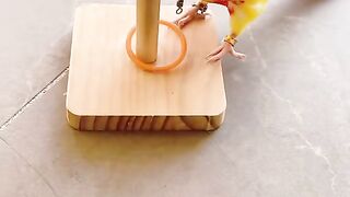 Parrot amazing circus performance circus short circus video short Amazing 2