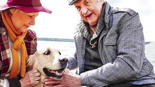 what are the best dogs for seniors?