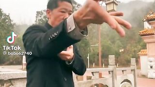 Chinese _kungfu _is _broad! How_ many _punches _did _you _count