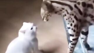 Relax bruhh..here's not the right place.. ill eat you later