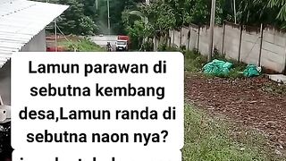 ayam broiler || kata kata lucu 137