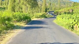 Swiss Van Java