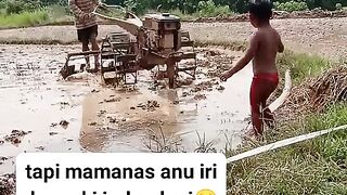 ayam broiler || kata kata lucu 140
