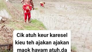 ayam broiler || kata kata lucu 141