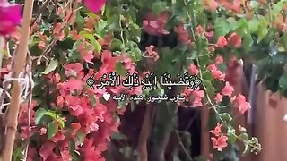 قرءان كريم #القرآن_الكريم