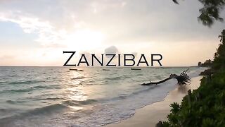 Paradise Island  Zanzibar Travel Video