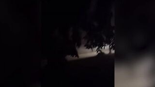 South Dallas residents brace for days without power after Tuesday storm knocks down trees and power