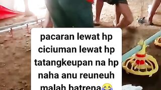 ayam broiler || kata kata lucu 148
