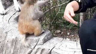 Funny monkey.  Plz support and subscribe