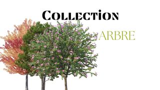 Collection Arbre 2