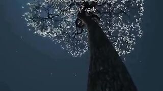 ????سورۃالعٰدیات✨