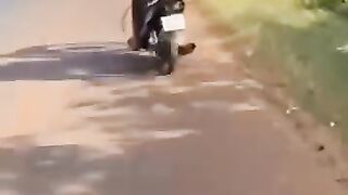 Roda gila
