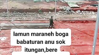 ayam broiler || kata kata lucu 154