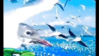 video 585