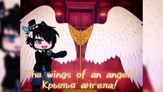 the wings if an angel!